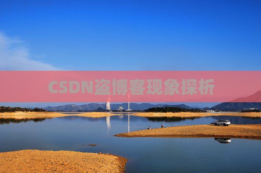 CSDN盗博客现象探析 CSDN盗博客现象探析
